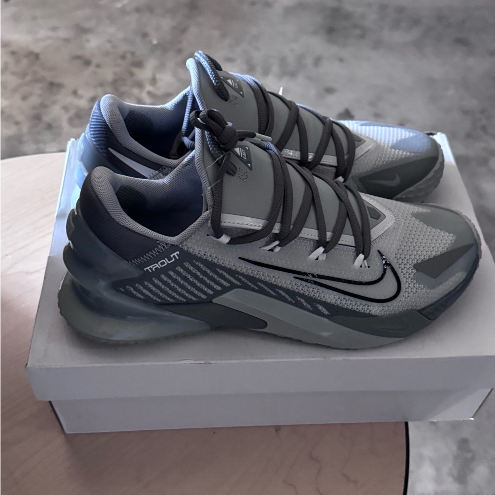 Nike Men's Gray and Black Athletic Shoes
